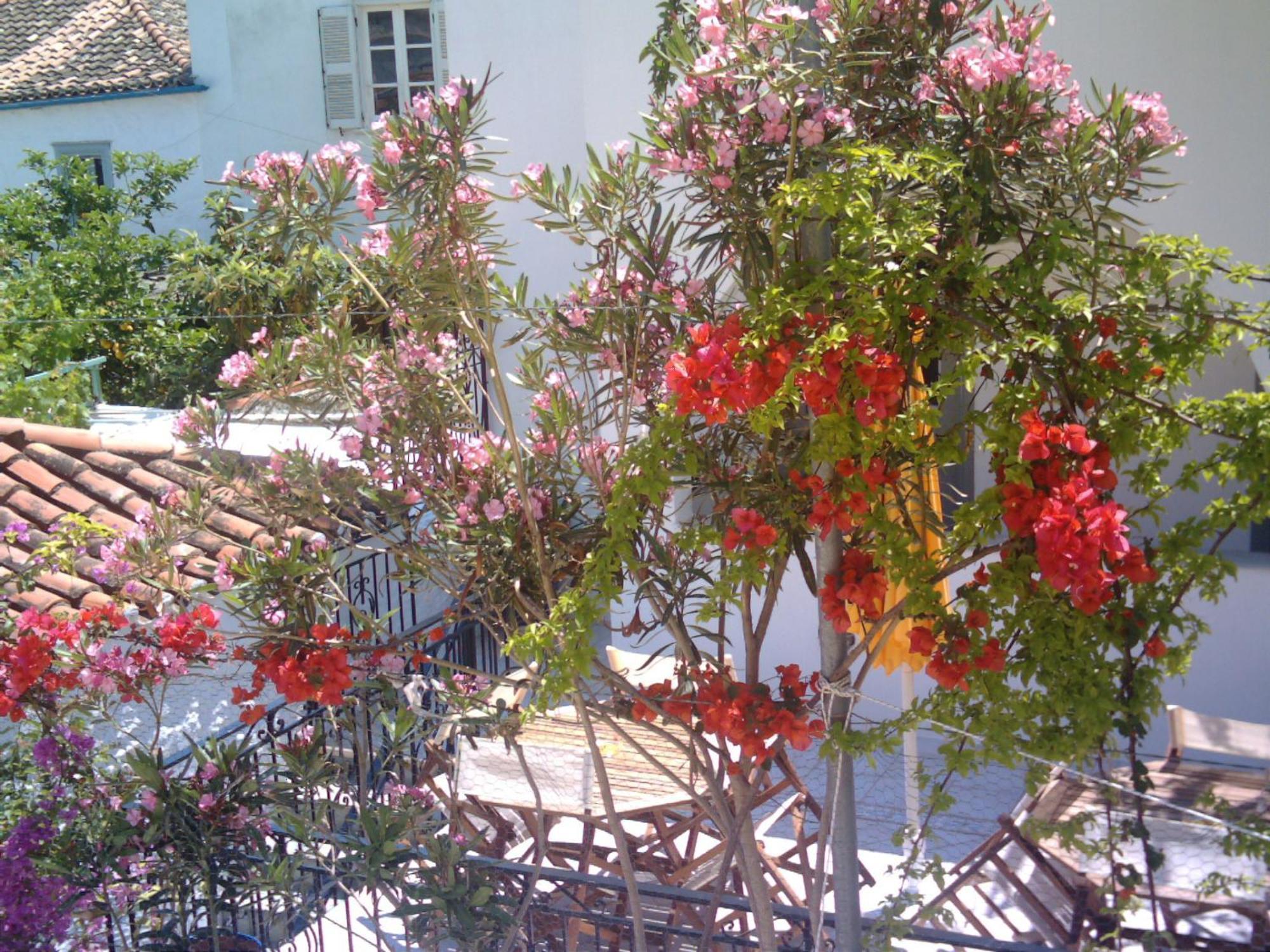 Alkionides Hydra Hotel Exterior photo